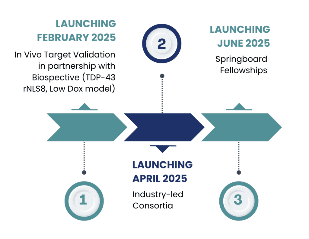 Image is a timeline listing 2025 grant programs. Launching February 2025, In Vivo Target Validation. Launching April 2025, Industry-led Consortia. Launching June 2025, Springboard Fellowships.